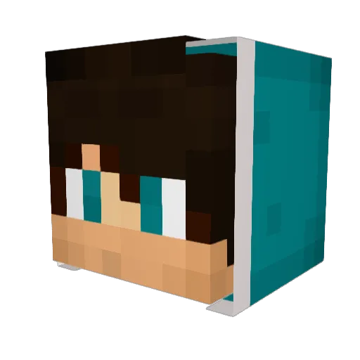 ZxRecklessxZ Minecraft avatar head, 3D render