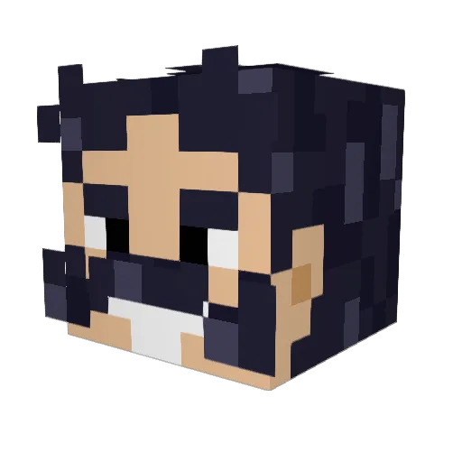 ZxZx765 Minecraft avatar head, 3D render