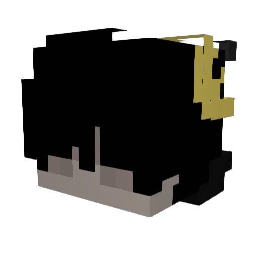 ZxcBurned Minecraft avatar head, 3D render