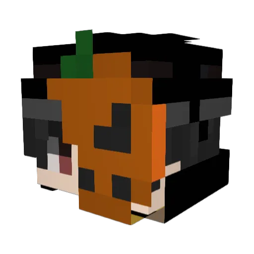 Zxchkcat Minecraft avatar head, 3D render