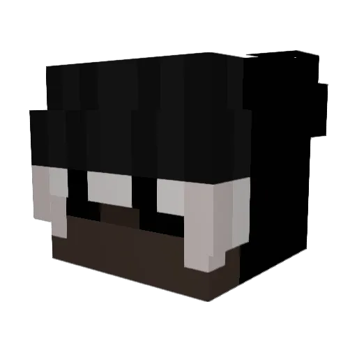 ZxcrvilimxZ Minecraft avatar head, 3D render