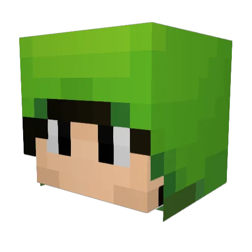 Zxplax Minecraft avatar head, 3D render