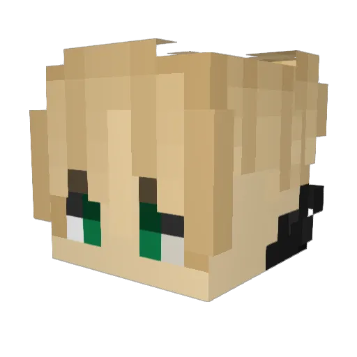 ZyLo1507 Minecraft avatar head, 3D render