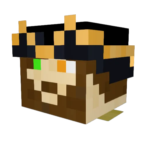 ZyZard Minecraft avatar head, 3D render