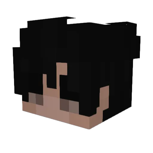 Zy_rox Minecraft avatar head, 3D render
