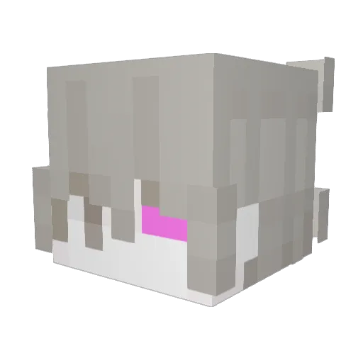 Zyanlol Minecraft avatar head, 3D render