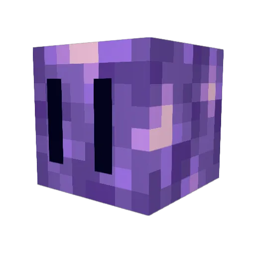 Zycadious1 Minecraft avatar head, 3D render