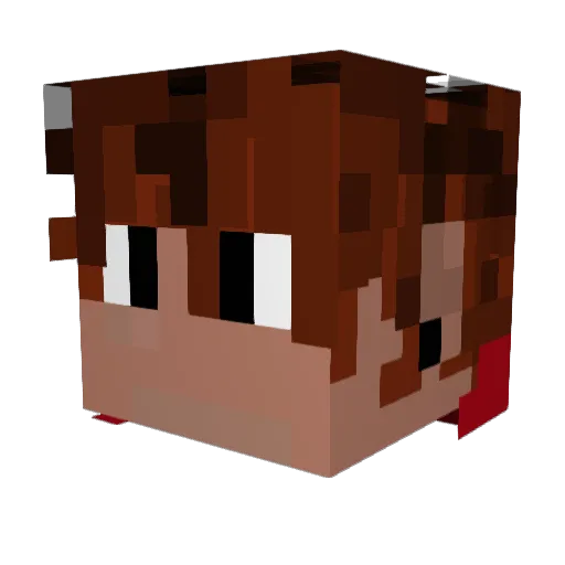 Zygard20 Minecraft avatar head, 3D render