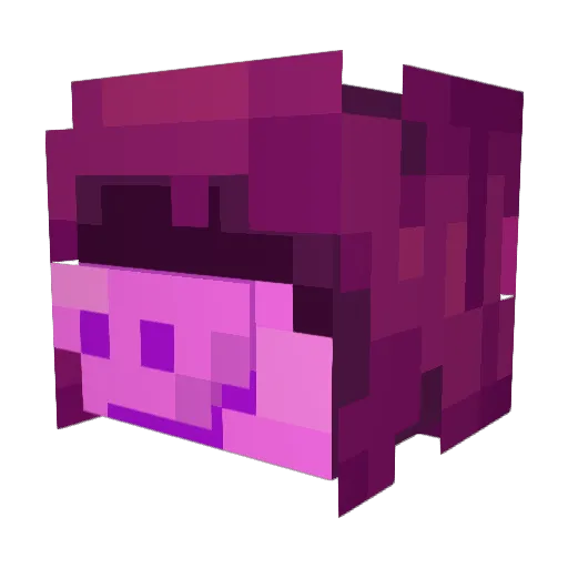 Zygard500 Minecraft avatar head, 3D render
