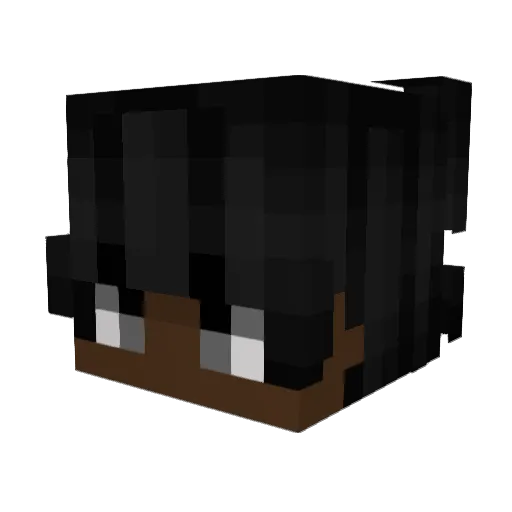 Zygmuntus Minecraft avatar head, 3D render