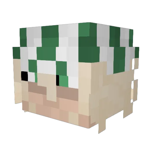 ZygoteYT Minecraft avatar head, 3D render