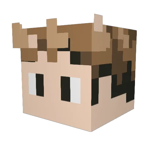 Zygote_ Minecraft avatar head, 3D render