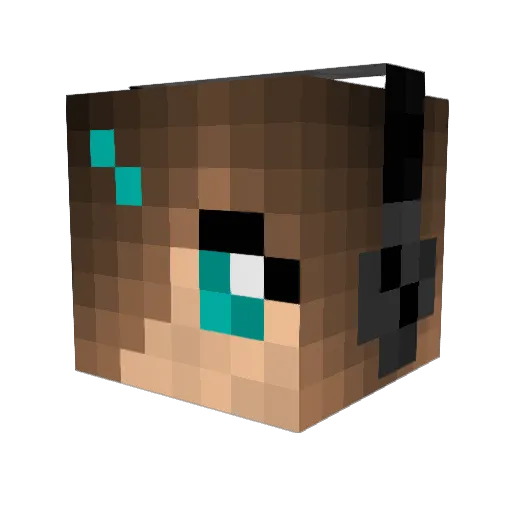 Zygrograxgra Minecraft avatar head, 3D render