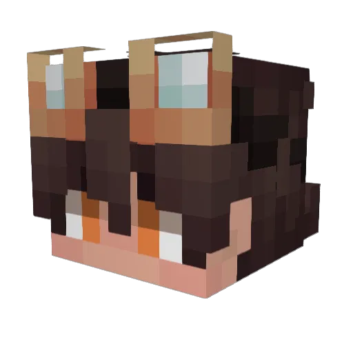 Zyki1 Minecraft avatar head, 3D render