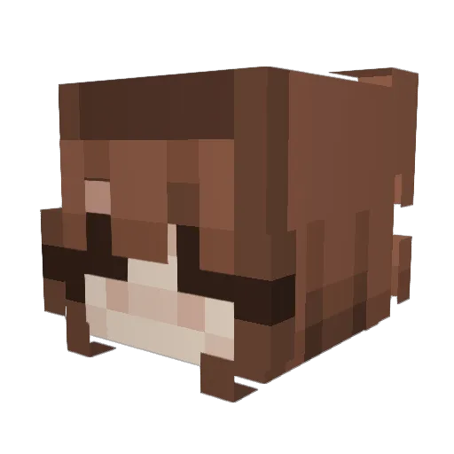 Zylandao Minecraft avatar head, 3D render