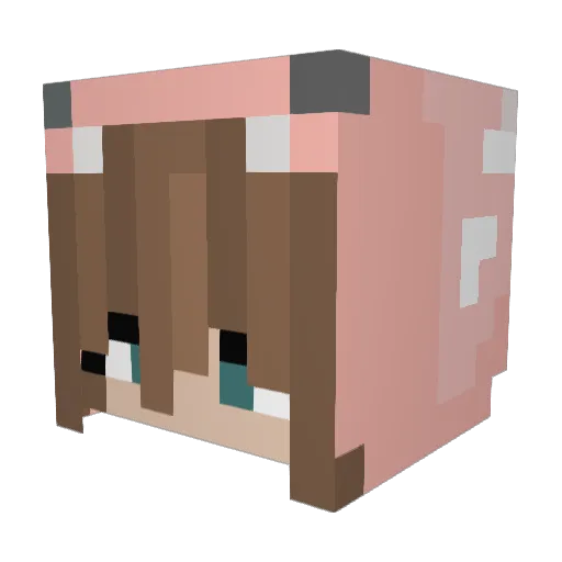 Zylaria Minecraft avatar head, 3D render