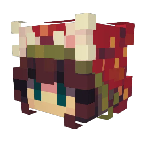 Zylenon Minecraft avatar head, 3D render