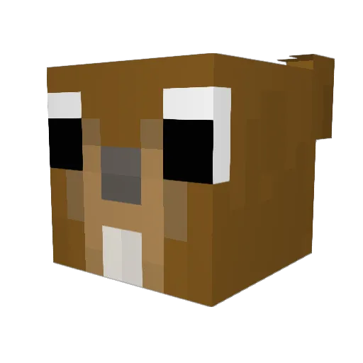 Zylixx Minecraft avatar head, 3D render