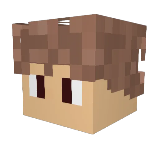 Zyllonn Minecraft avatar head, 3D render