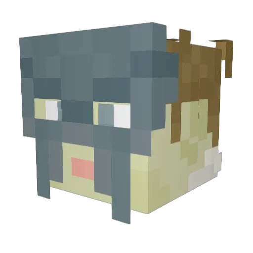 Zylonium Minecraft avatar head, 3D render