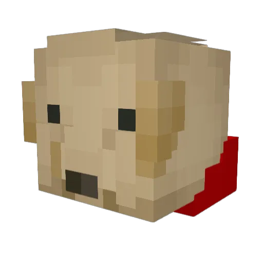Minecraft-Avatar von Zylver0: Kopf als 3D-Render