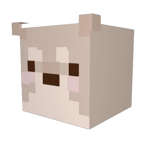 ZymZam Minecraft avatar head, 3D render