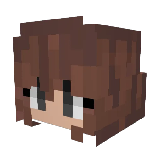 ZymZymZamZam Minecraft avatar head, 3D render