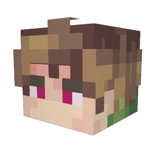 Zymeeeee Minecraft avatar head, 3D render