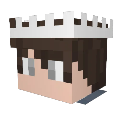 Zymox22 Minecraft avatar head, 3D render
