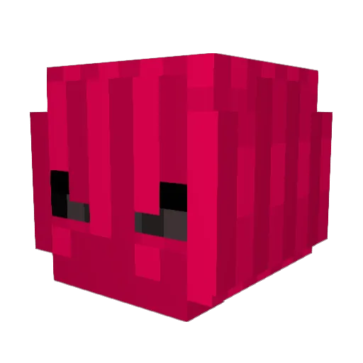 Zymp Minecraft avatar head, 3D render