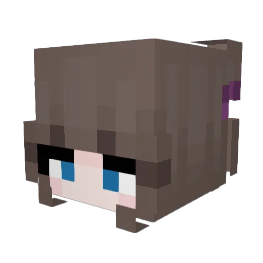 ZynYoka Minecraft avatar head, 3D render