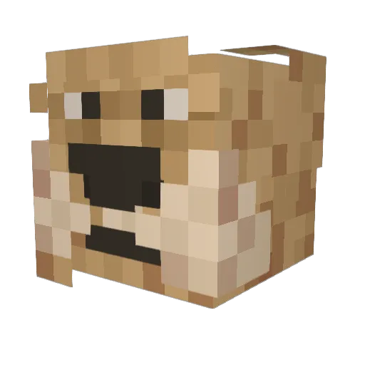 Zynclion Minecraft avatar head, 3D render