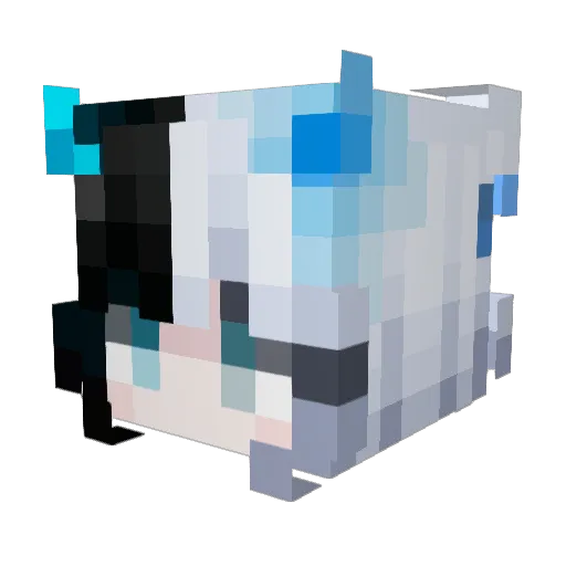 Zynorix Minecraft avatar head, 3D render