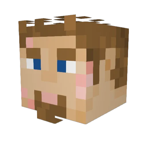Zyon170 Minecraft avatar head, 3D render