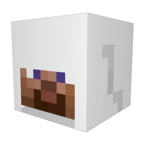 Zyorkie7 Minecraft avatar head, 3D render