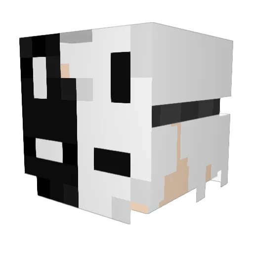 Zypther_ Minecraft avatar head, 3D render