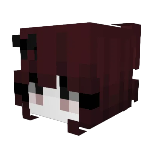 Zyqhyr Minecraft avatar head, 3D render