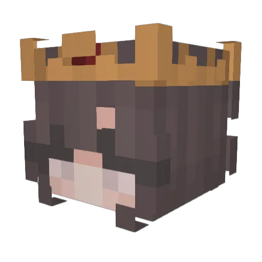 Zyqwax Minecraft avatar head, 3D render