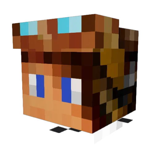 Zyr_eau Minecraft avatar head, 3D render