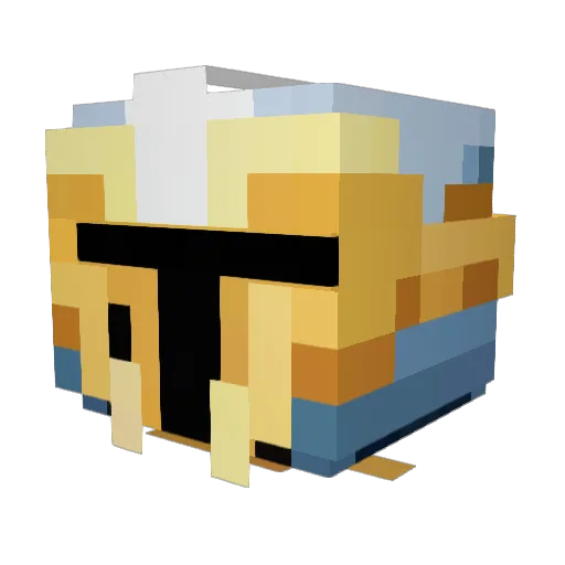 Zyrax000 Minecraft avatar head, 3D render