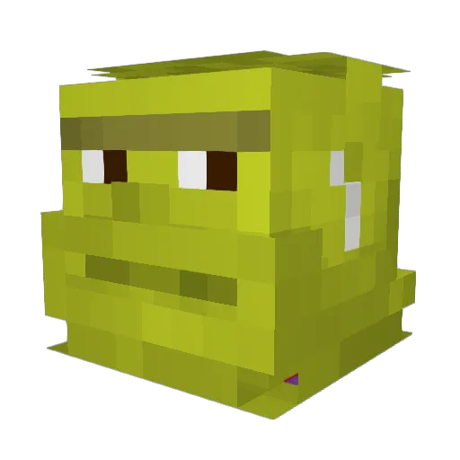 Zyre98 Minecraft avatar head, 3D render
