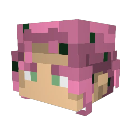 ZyroForeigner Minecraft avatar head, 3D render