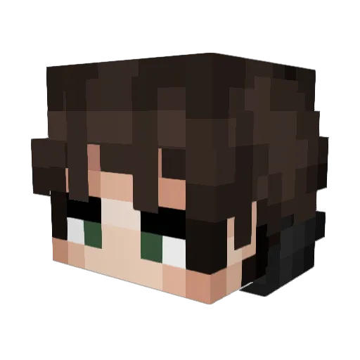 Zyrox0430 Minecraft avatar head, 3D render