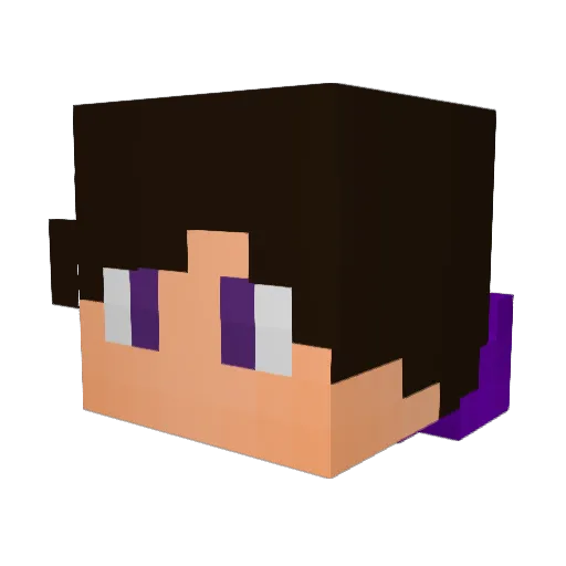 ZytherCraft Minecraft avatar head, 3D render