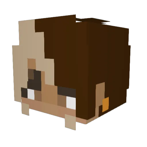 Zytler Minecraft avatar head, 3D render