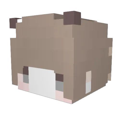 ZyuLienz Minecraft avatar head, 3D render