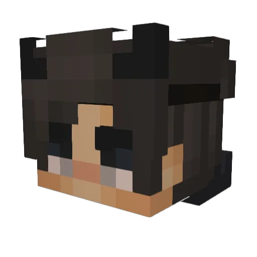 Zywi73 Minecraft avatar head, 3D render