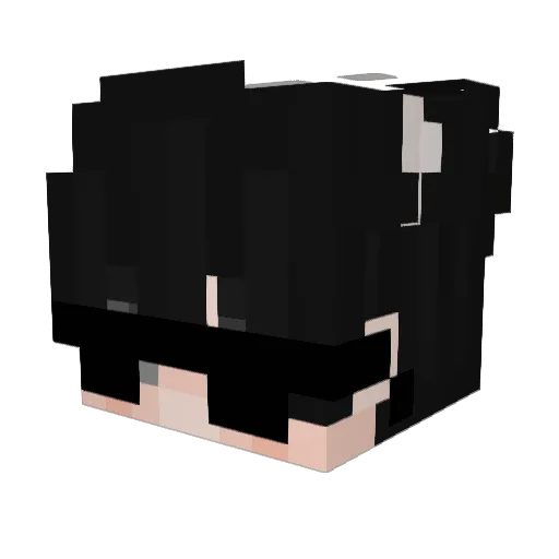 ZyykoTheFemboy Minecraft avatar head, 3D render