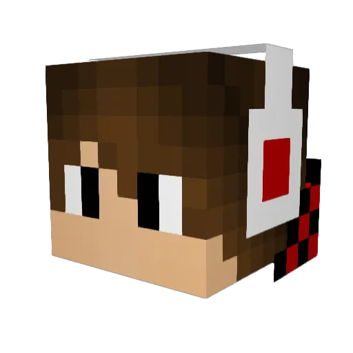 ZzDisTanTzZ Minecraft avatar head, 3D render