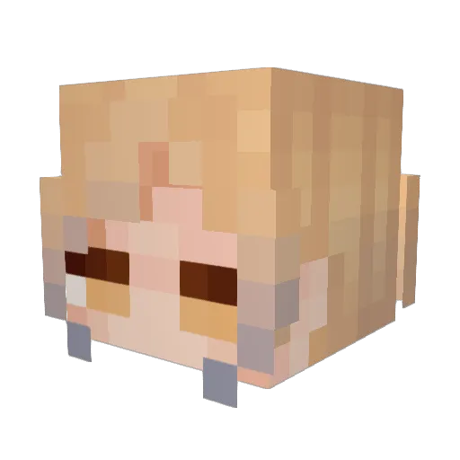 ZzGodzZ3 Minecraft avatar head, 3D render